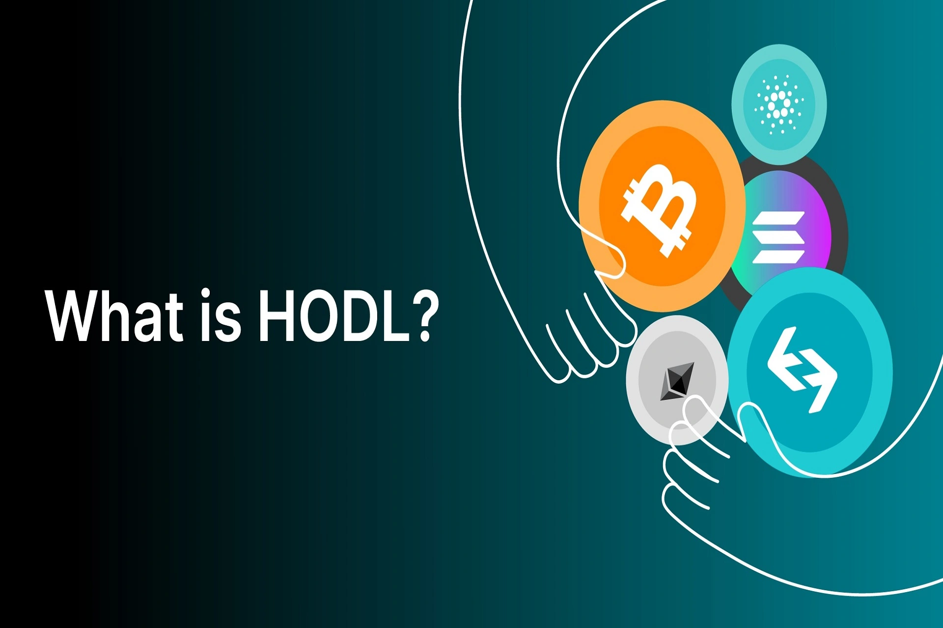 هودل Hodl چیست